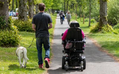 Guardianship of an Alleged Disabled Person in Maryland